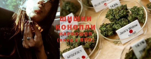 МДПВ Осинники
