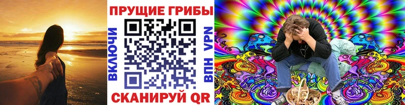 Галлюциногенные грибы ЛСД  где продают   Камень-на-Оби 